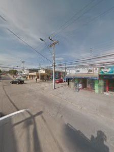 Alejandrina