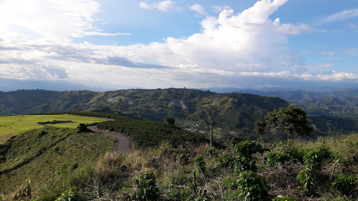 Alto de la Paz