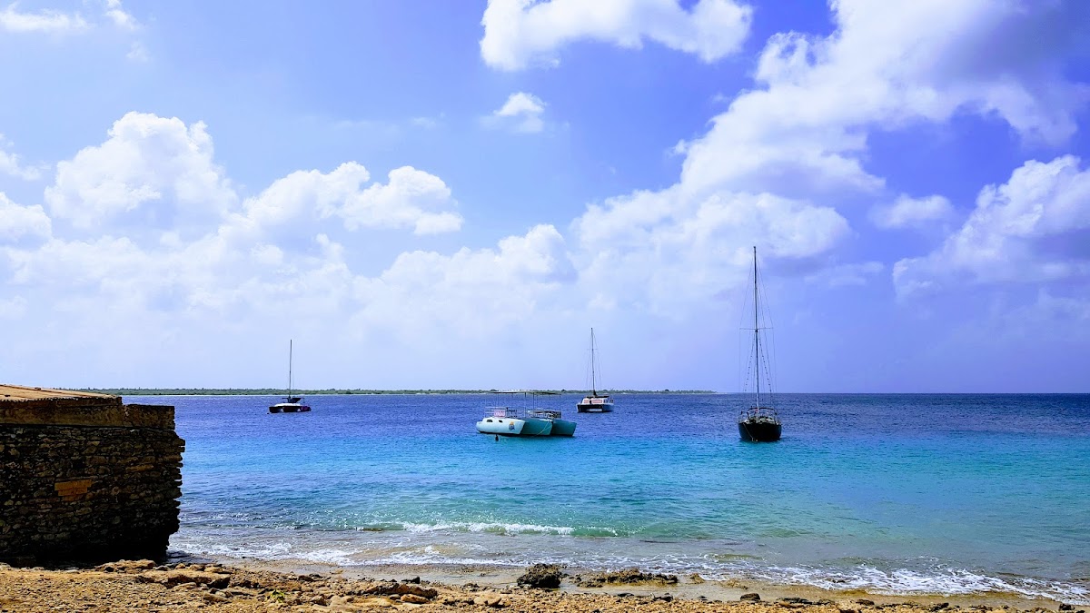Bari Reef (30)