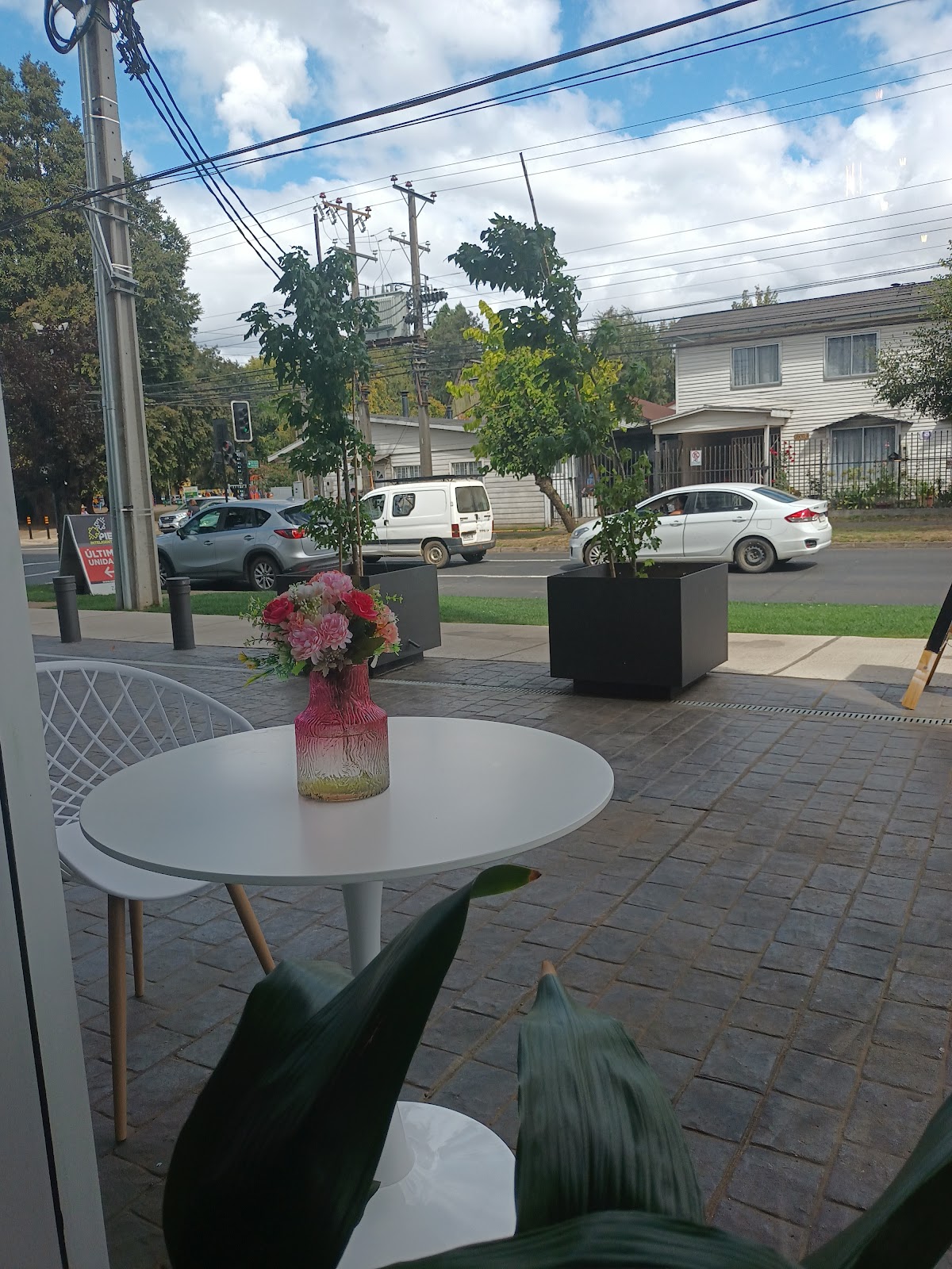 Bendito café Temuco