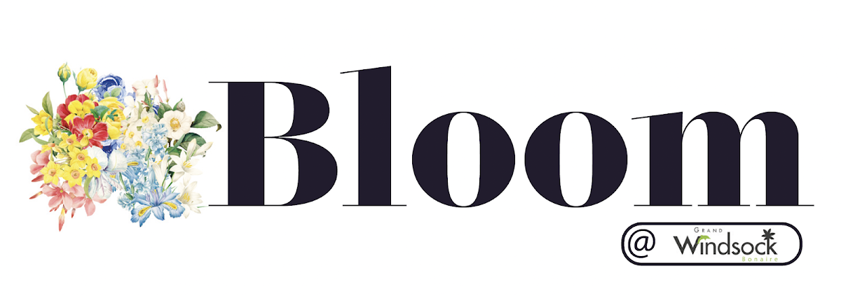 Bloom
