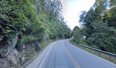 Bogotá