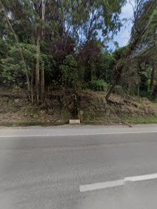 Bogota