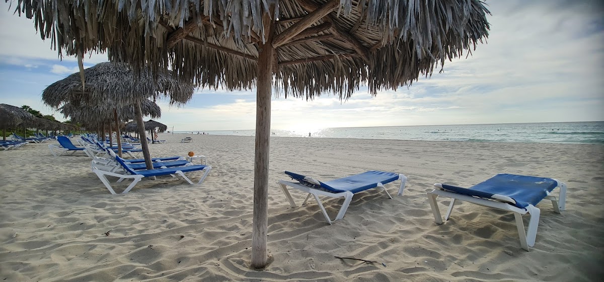 Buffet La Palapa | Iberostar