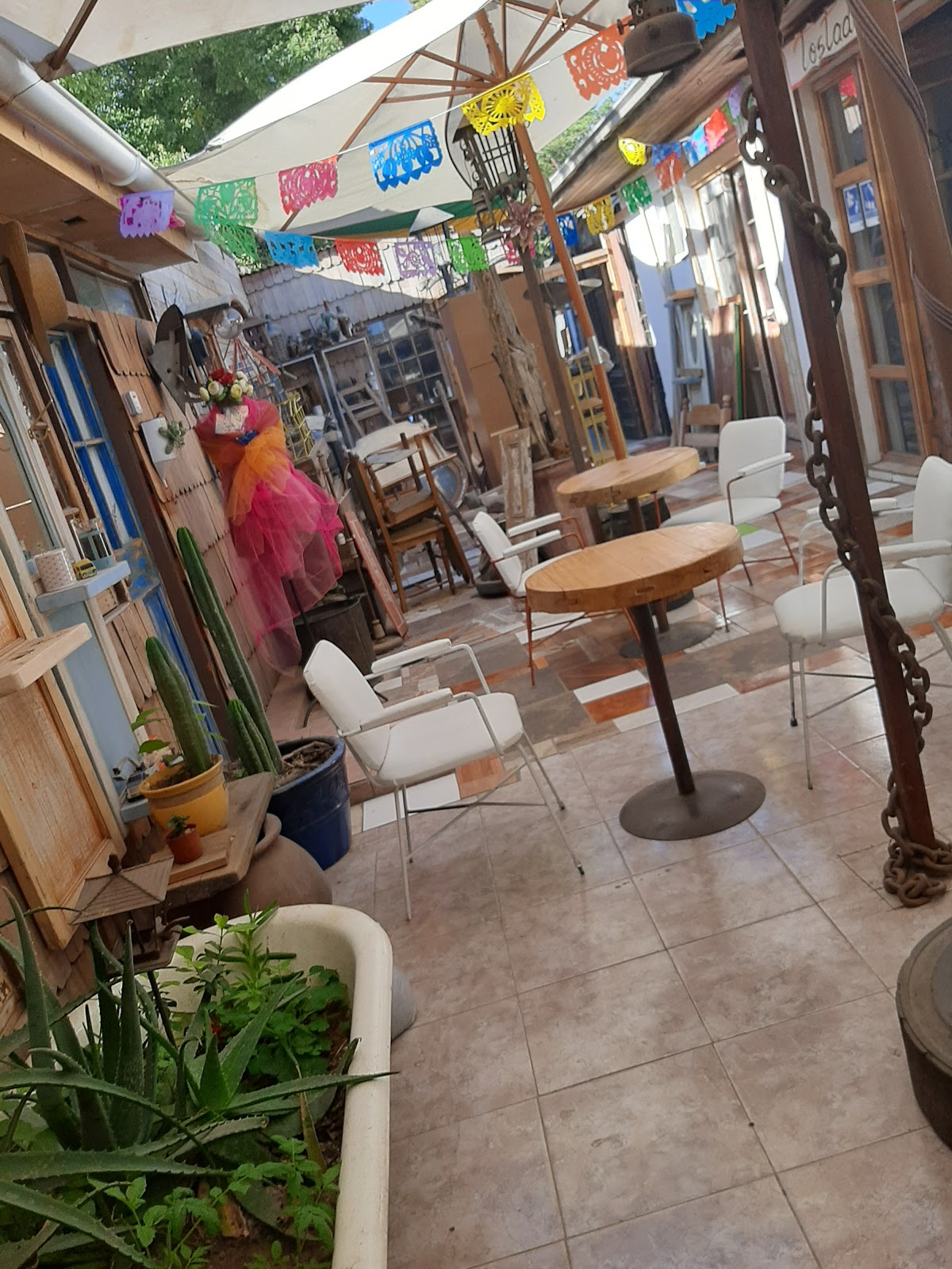 CAFECITOS