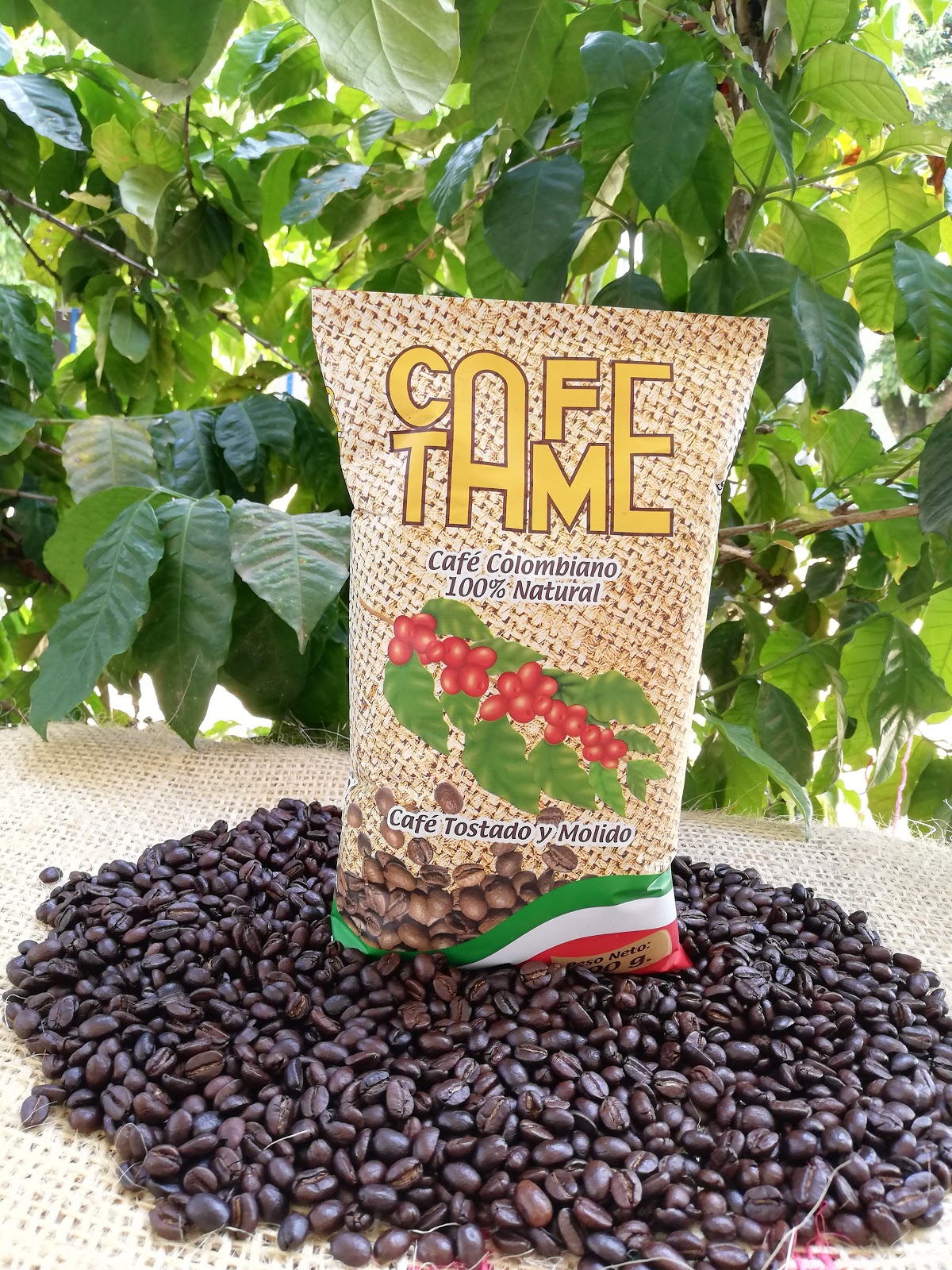 CAFE TAME