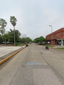 CASA 194