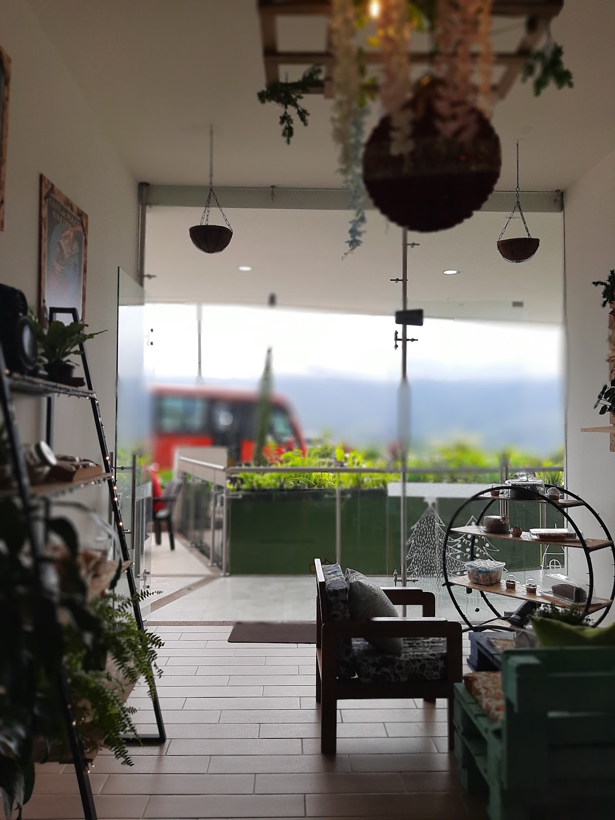 Café Arábigo