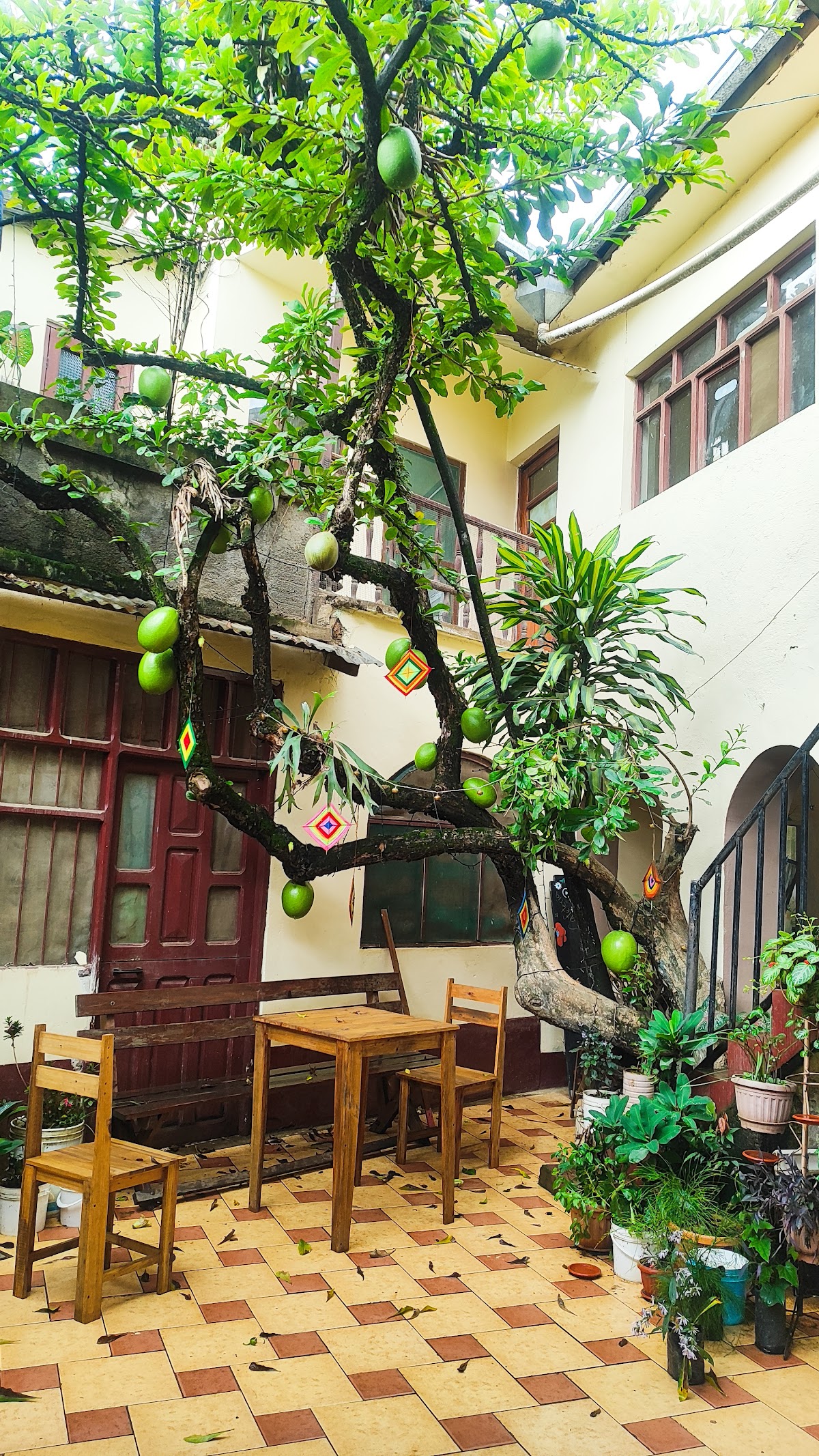 Café Aventura Caranavi Bolivia