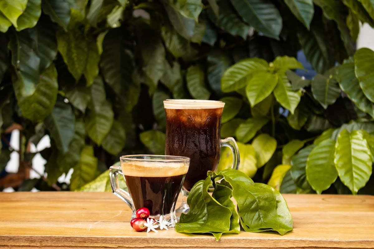 Café Brisas de Motoso