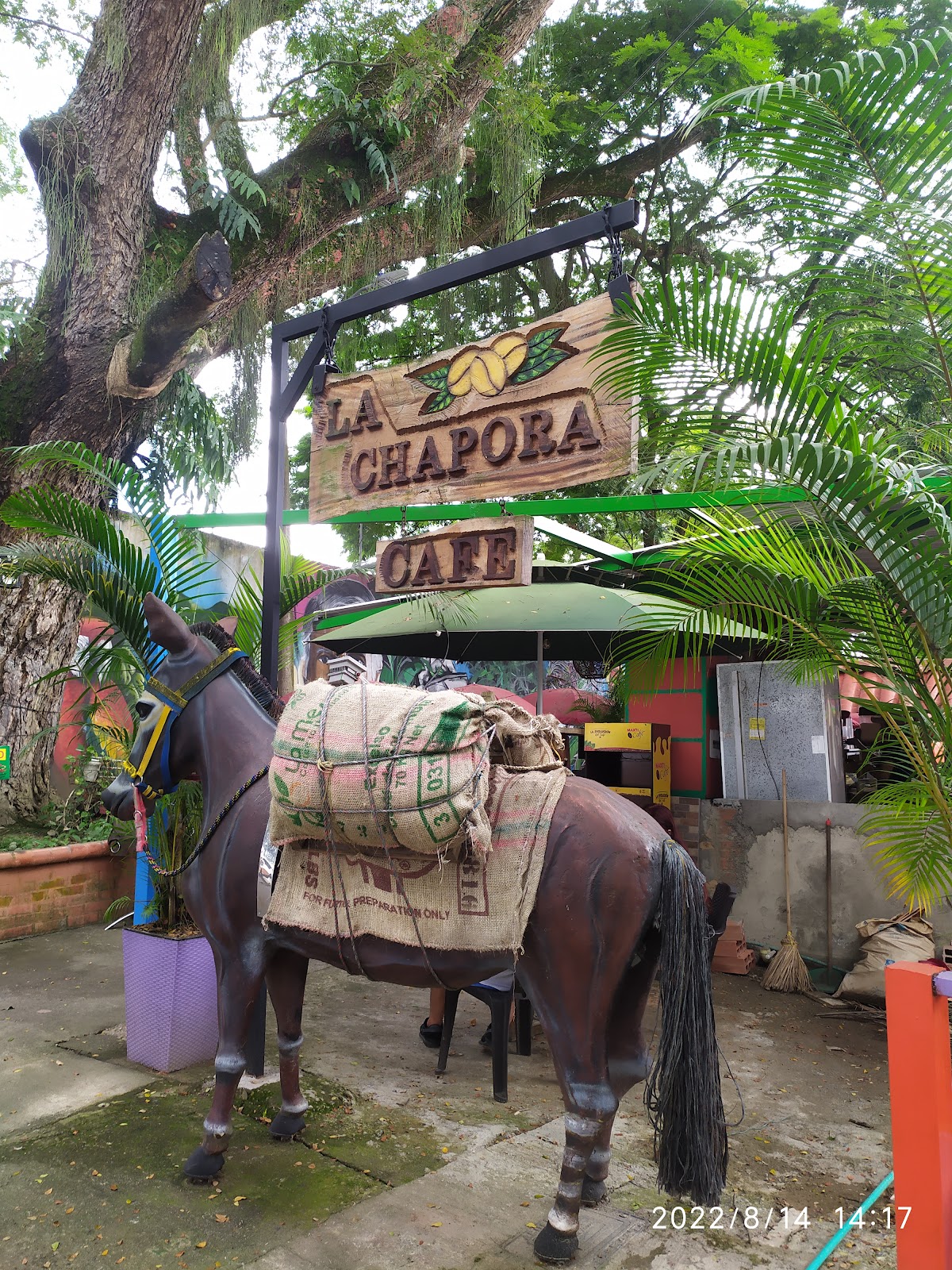 Cafe La Chapora