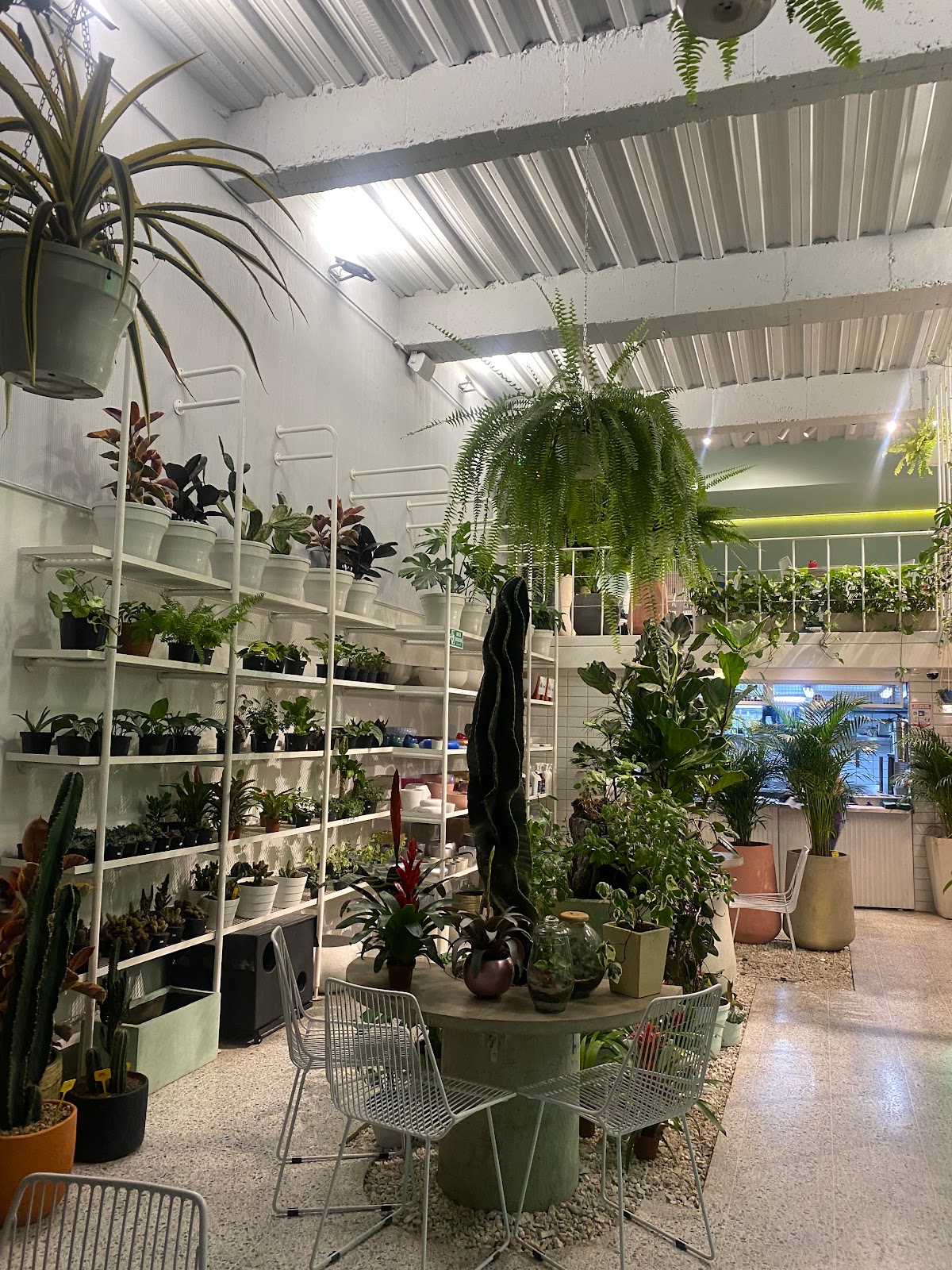 Cafe La Mata
