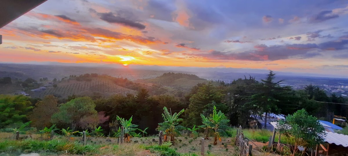 Café Loma Verde