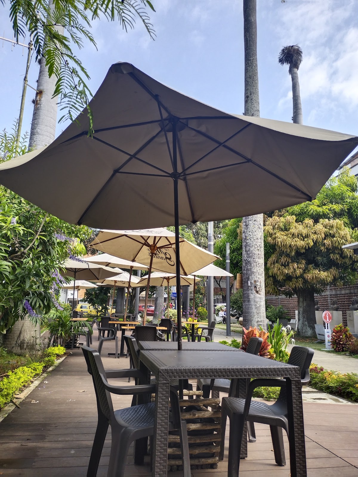 Café Mesa De los Santos