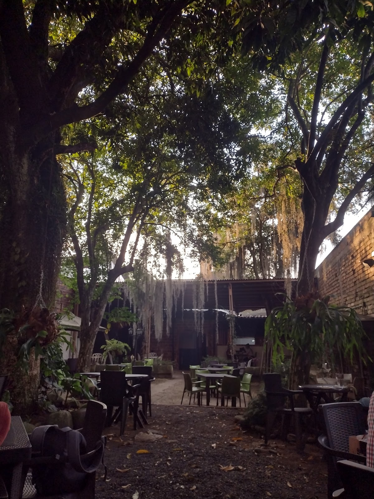Cafe & Compañia