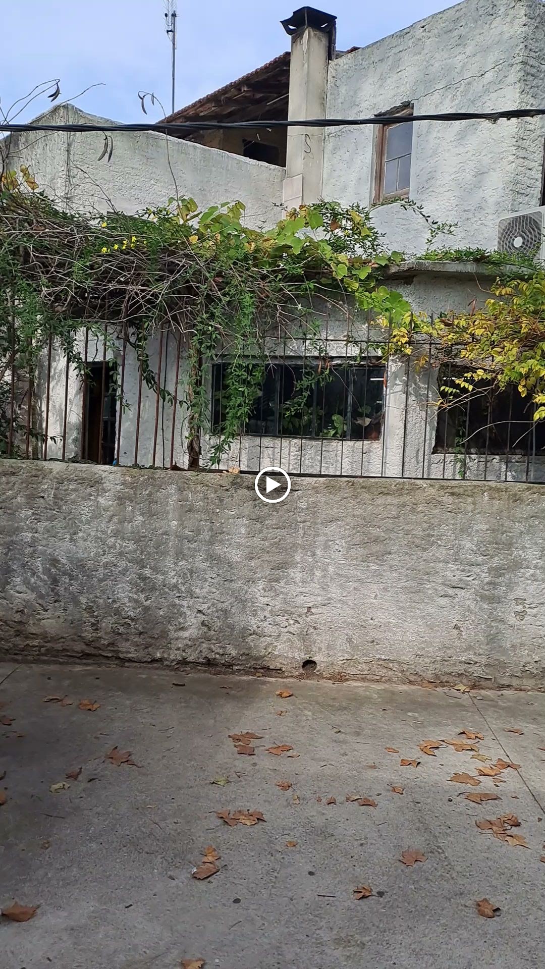 Gallery image 12