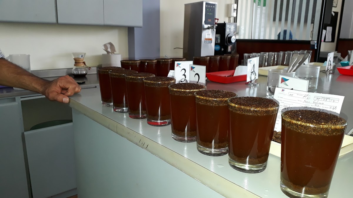 Caravela Coffee