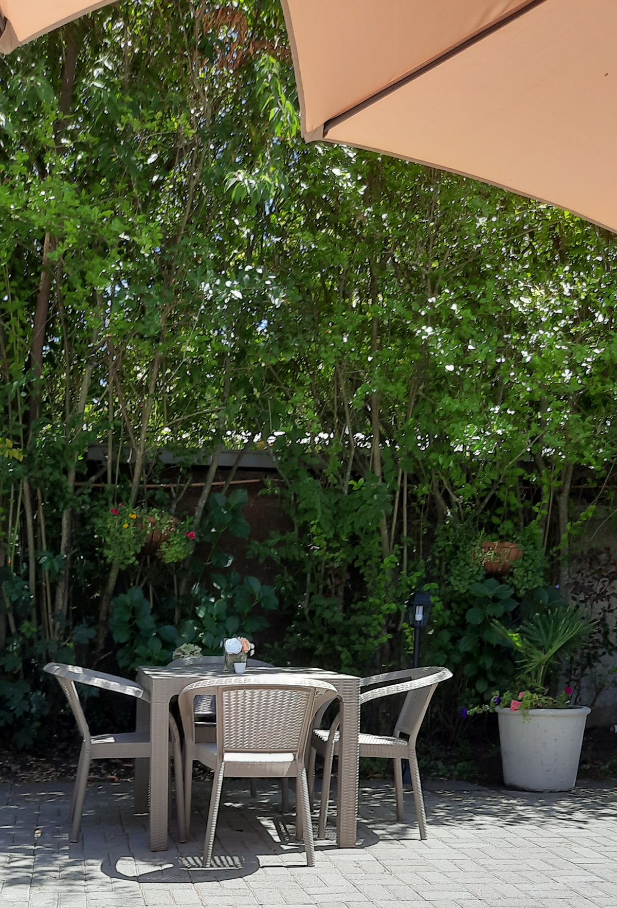 Casa Minga | Café - Galería