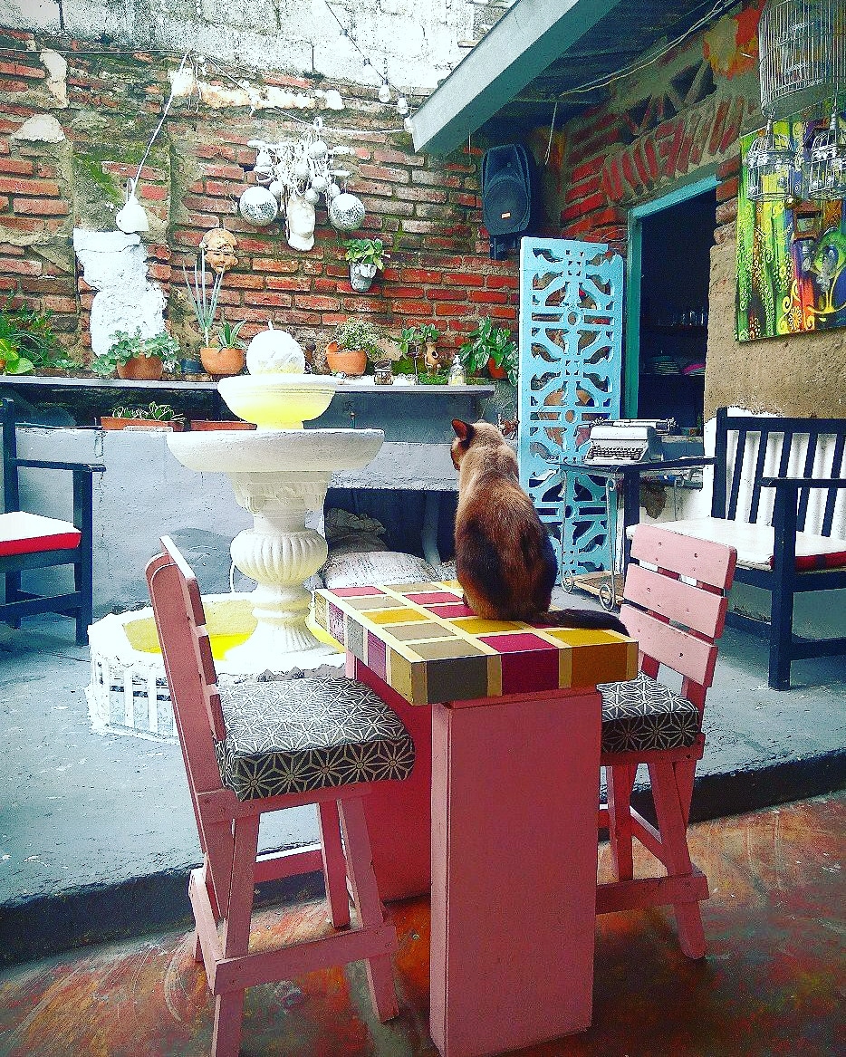 Casa lola reposteria Sincelejo