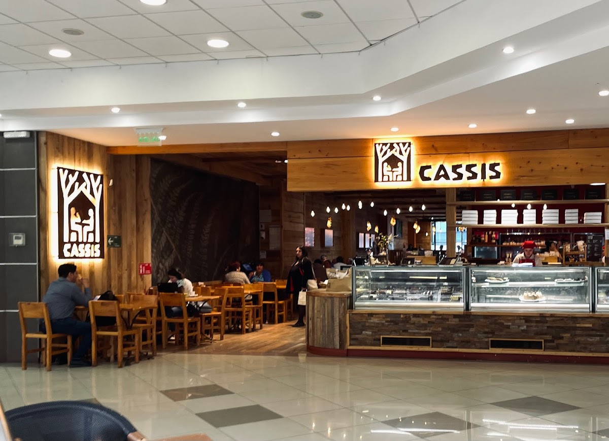 Cassis Valdivia