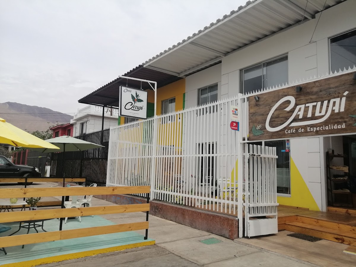 Catuai.cafe