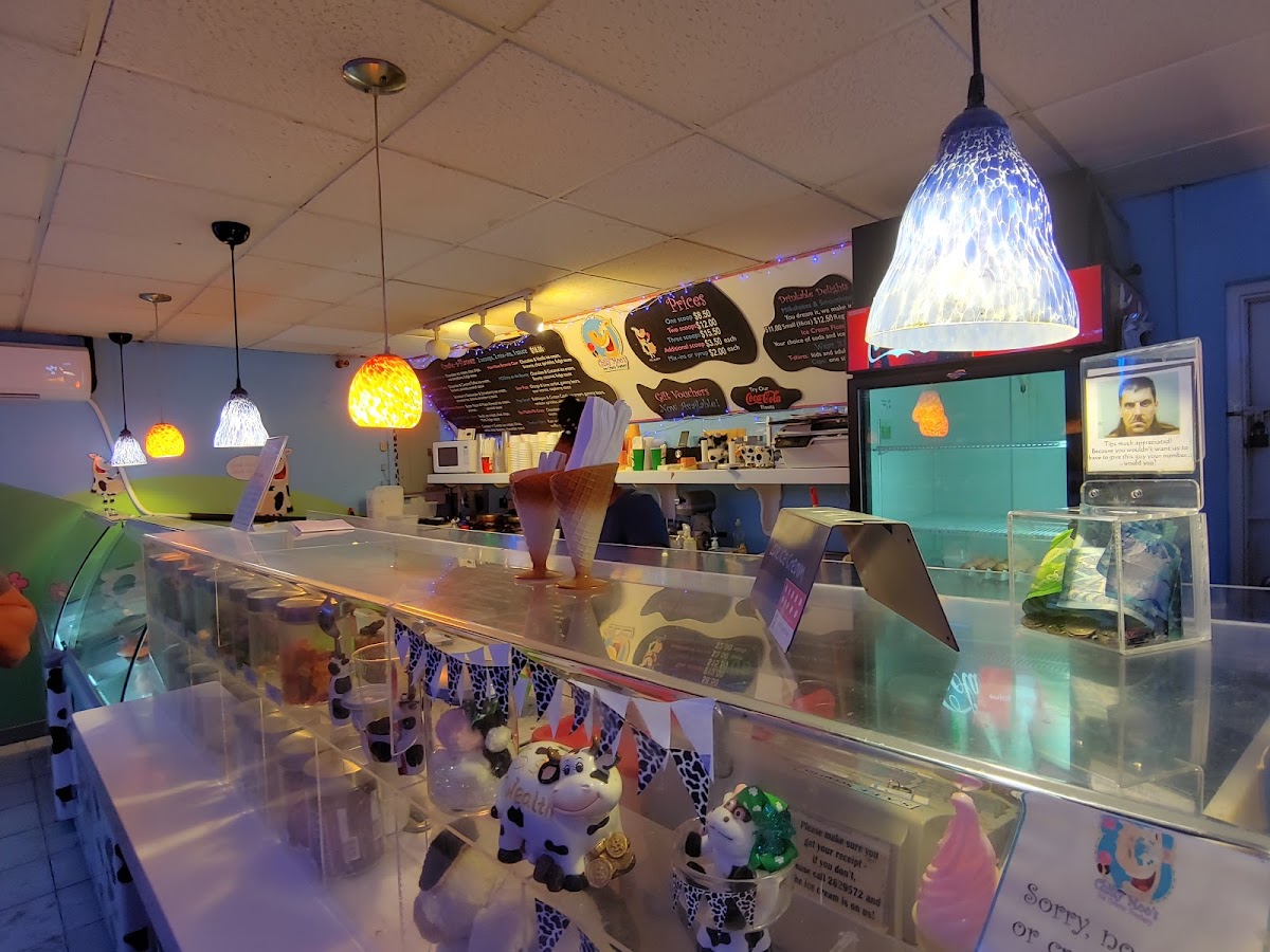 Chilly Moo's Ice Cream Treatery