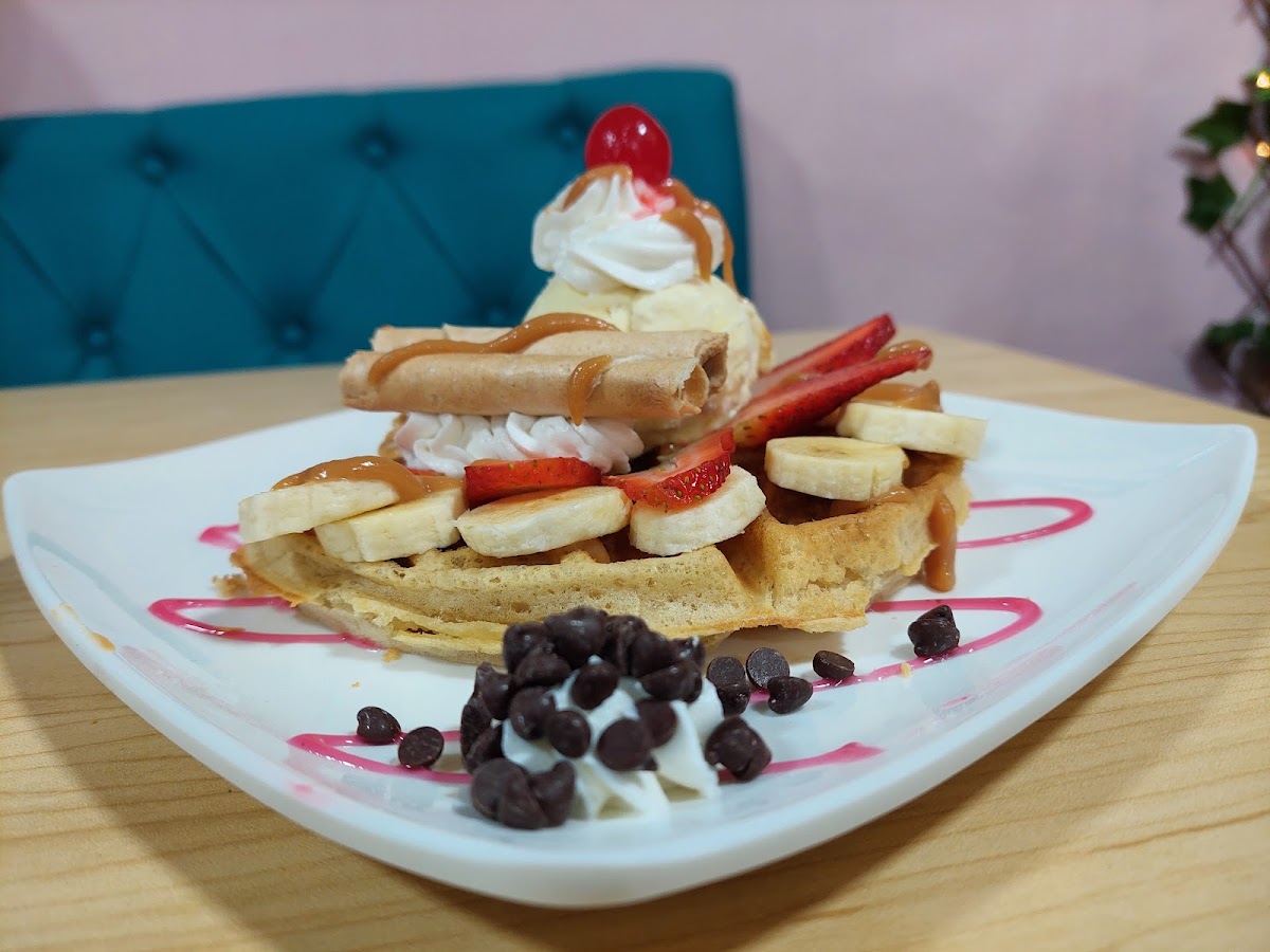 Cocoa Waffle