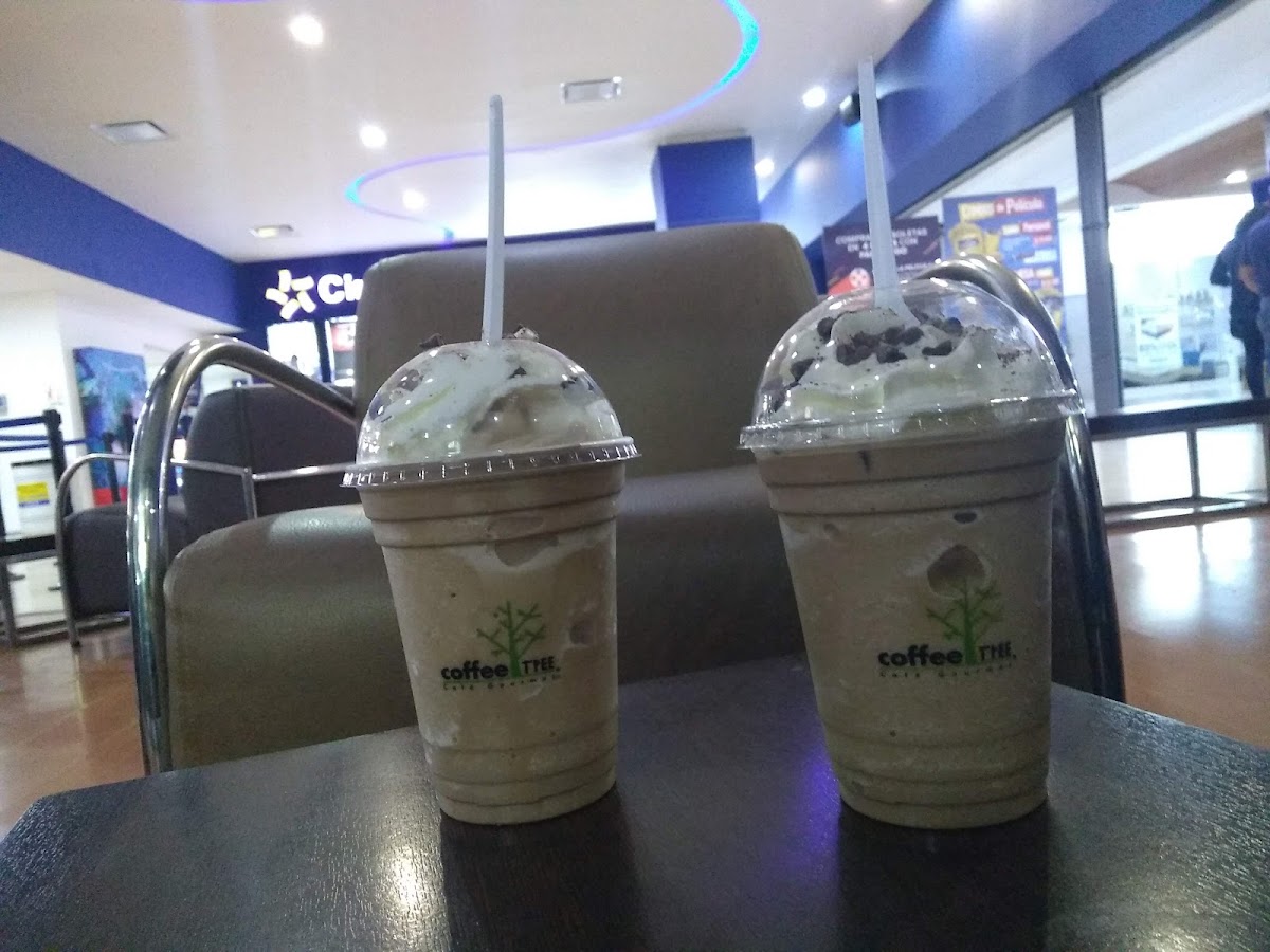 Coffee Tree