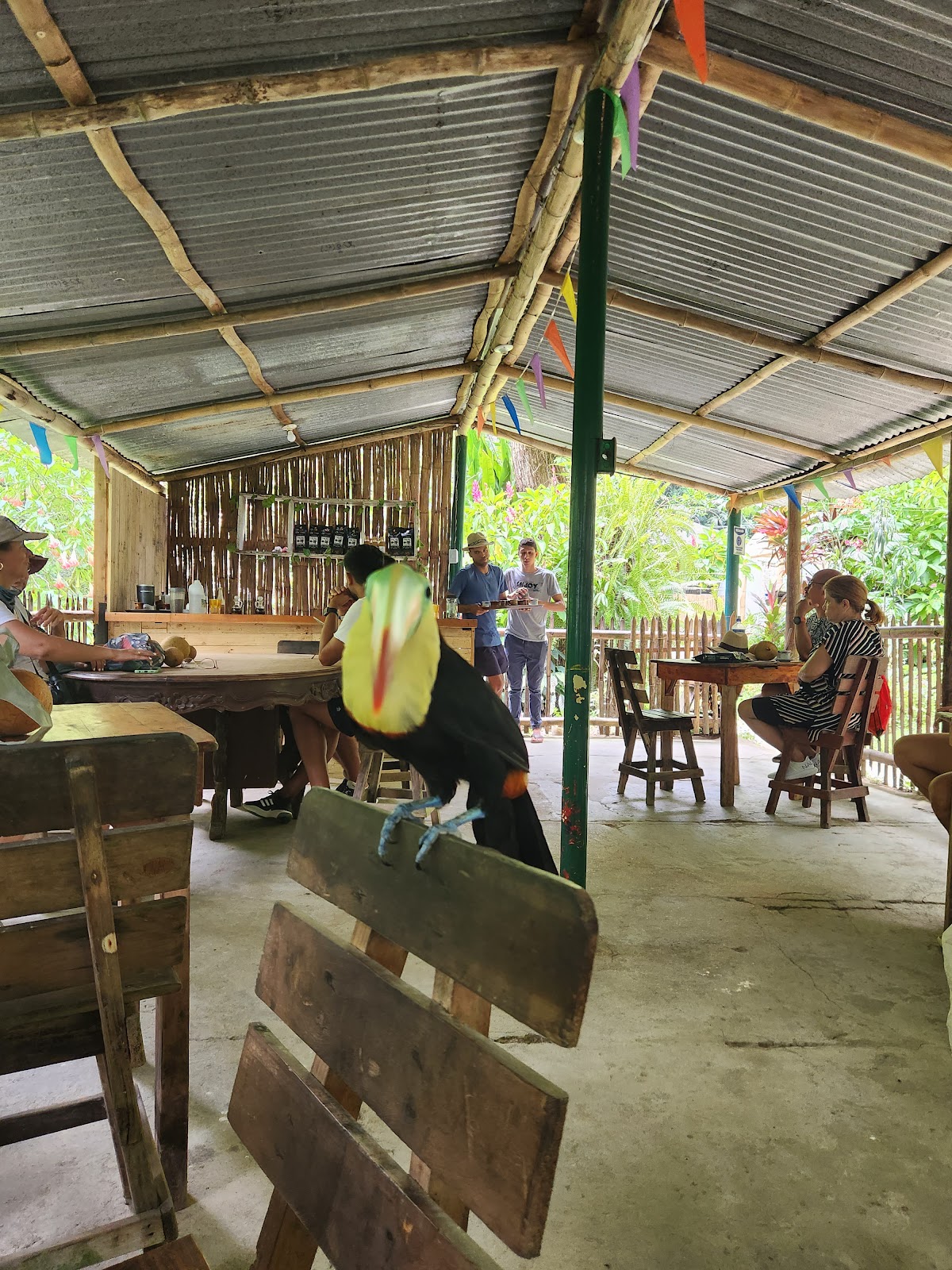 Coffee farm