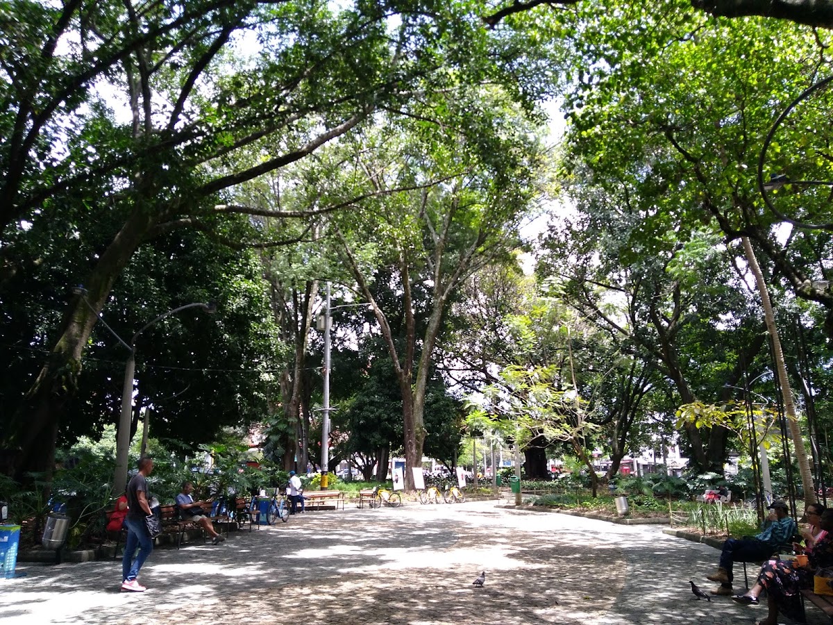 Gallery image 12