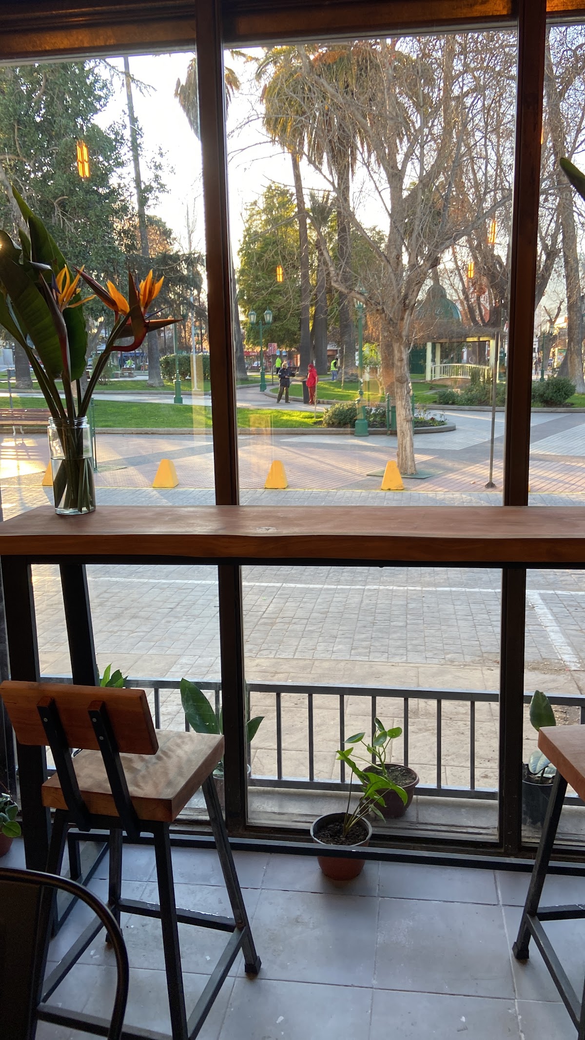 Dominga coffe lounge