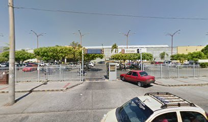 Don Modesto