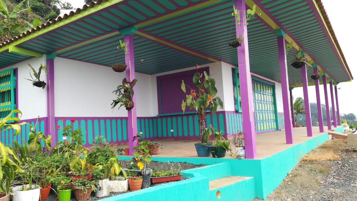 Gallery image 8