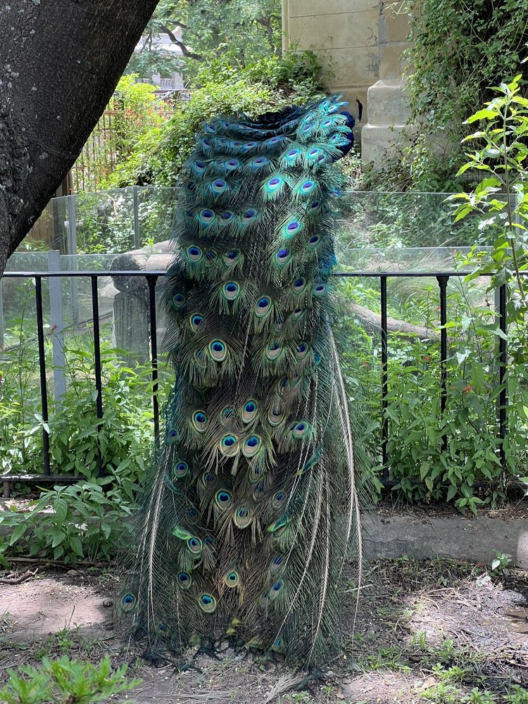 Ecoparque Interactivo de la Buenos Aires