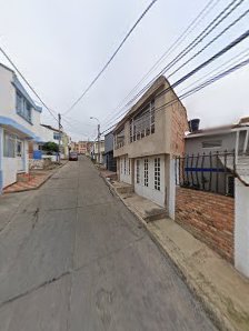 El mundo tematico de sofi
