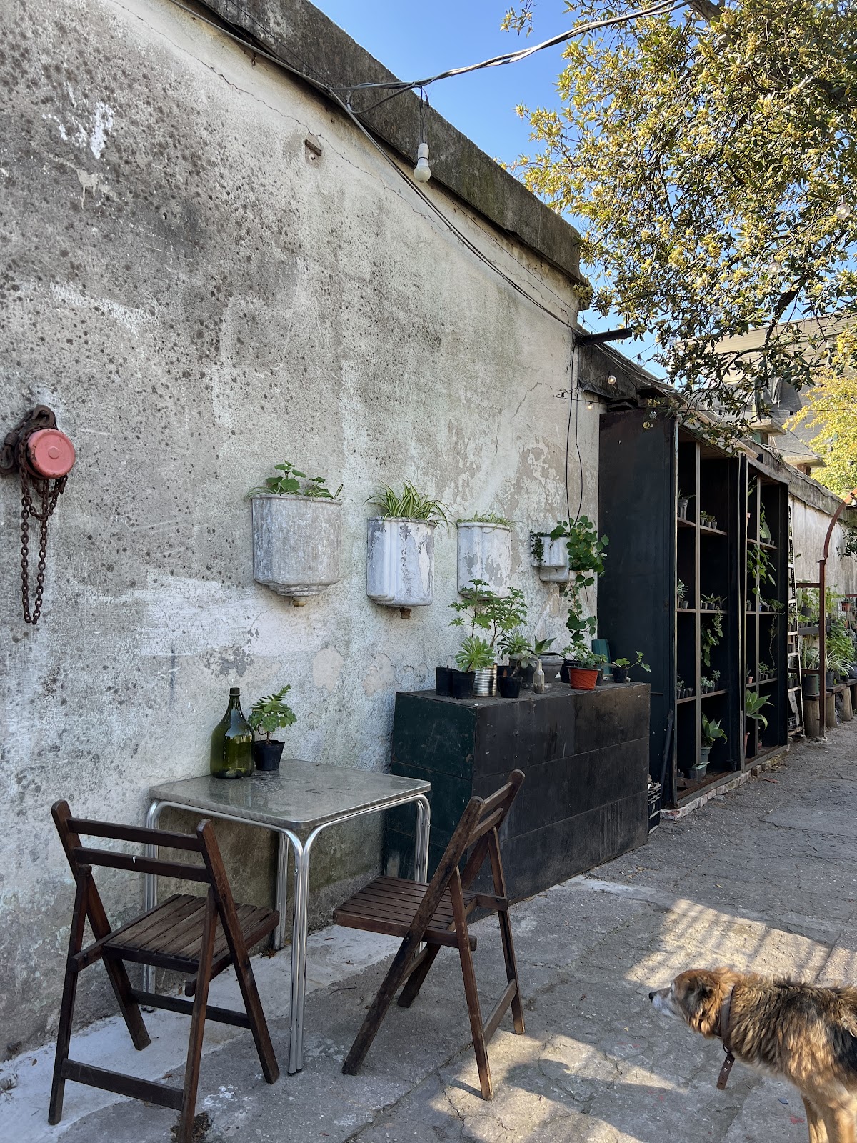 Elvira Cafe