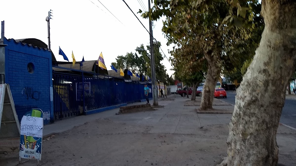 FERIA PERSA MANUEL RODRIGUEZ