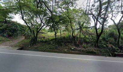 Finca Villa Clau