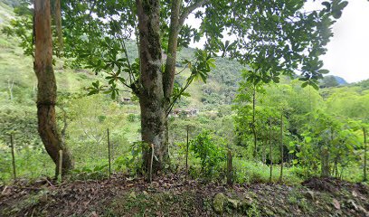 Finca la Vega