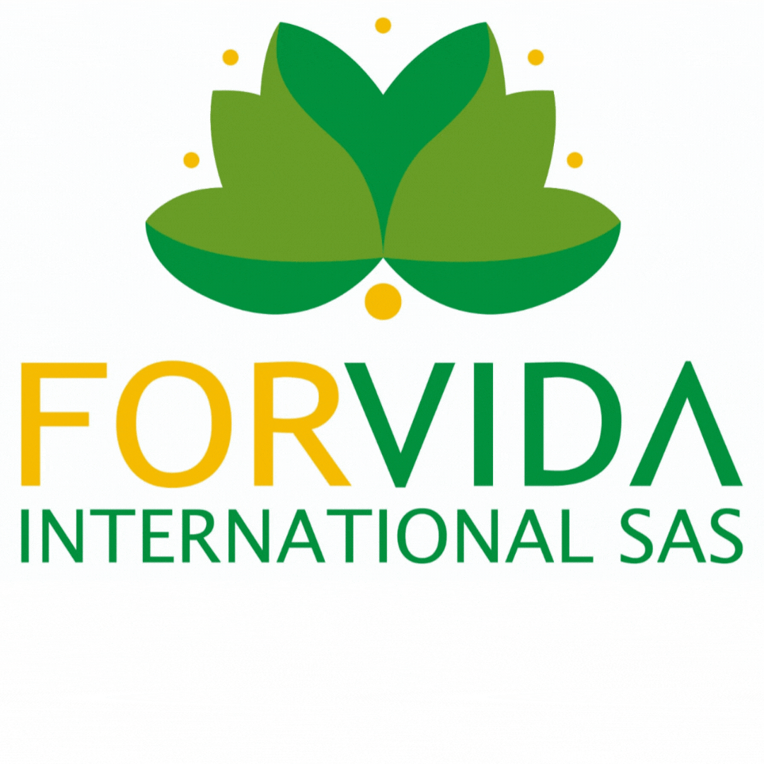 Forvida Internacional