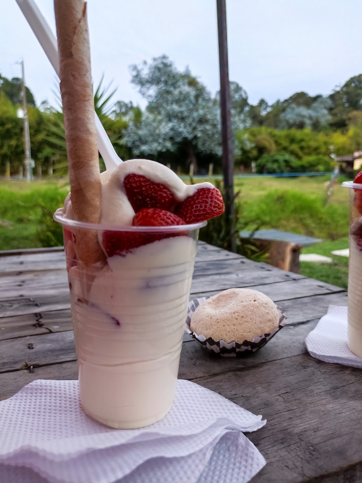 Fresas con crema