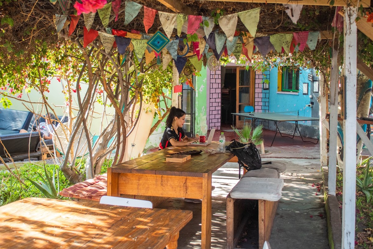 Gallo Coffee Arica - Café y Cowork