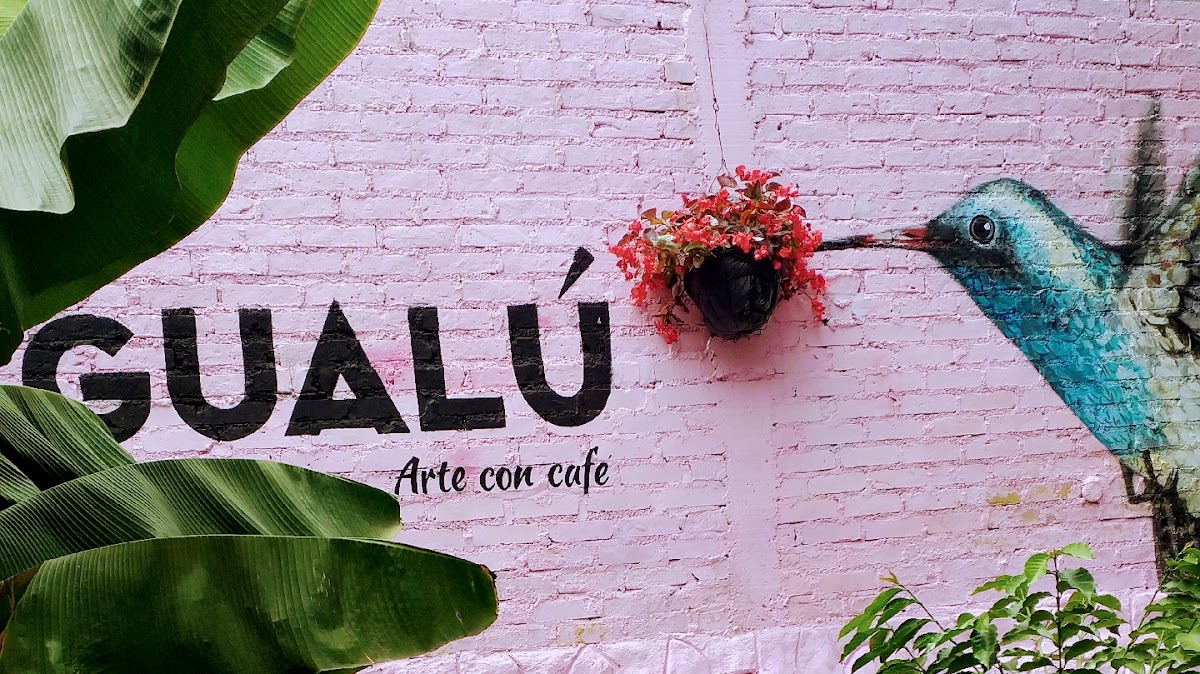 Gualú Gallery Coffee