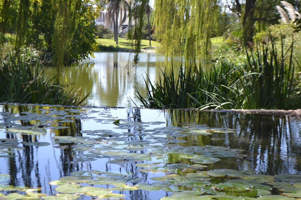 Jardin Botanico de Cordoba