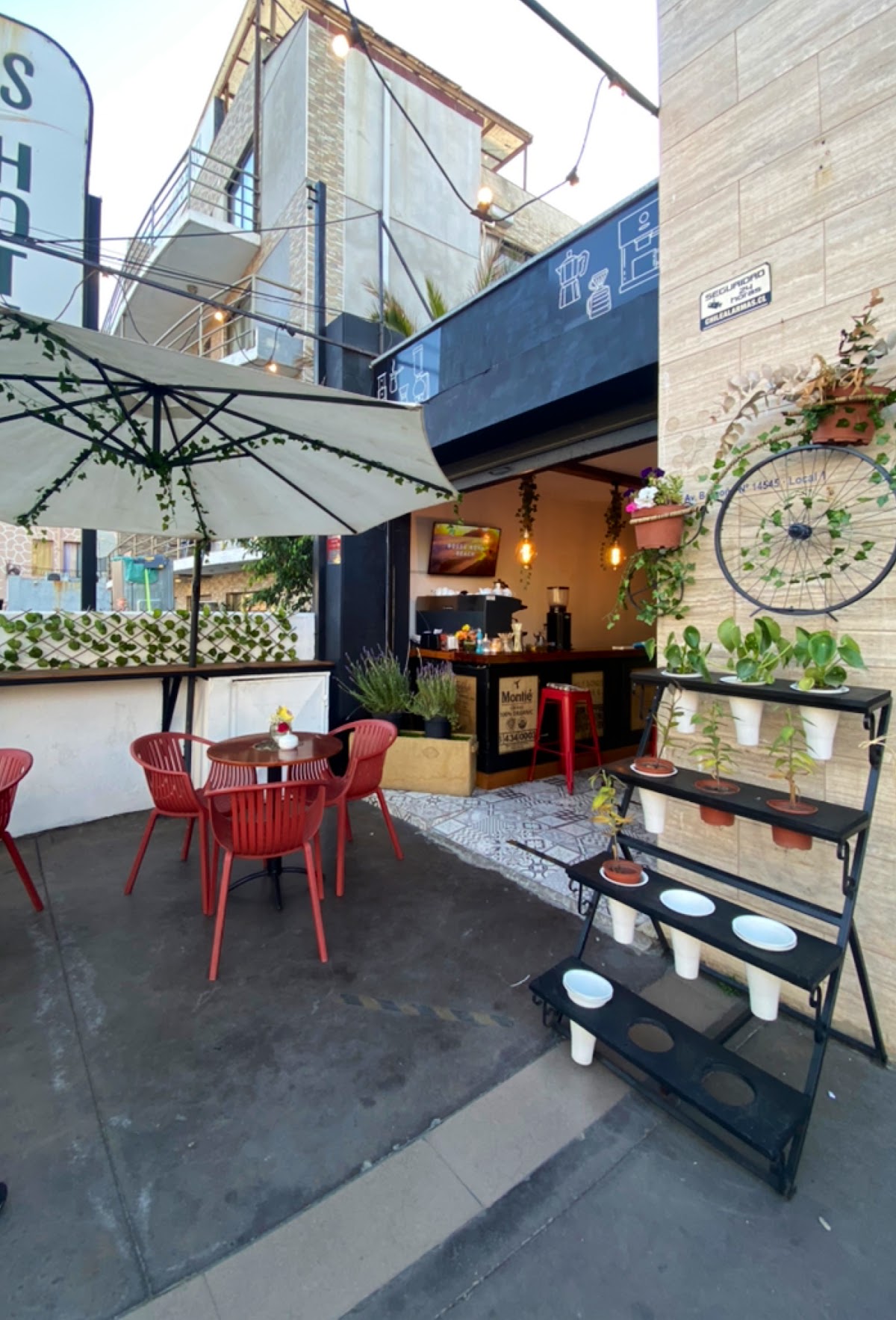 La Foresta Café