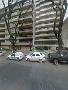 Gallery image 10