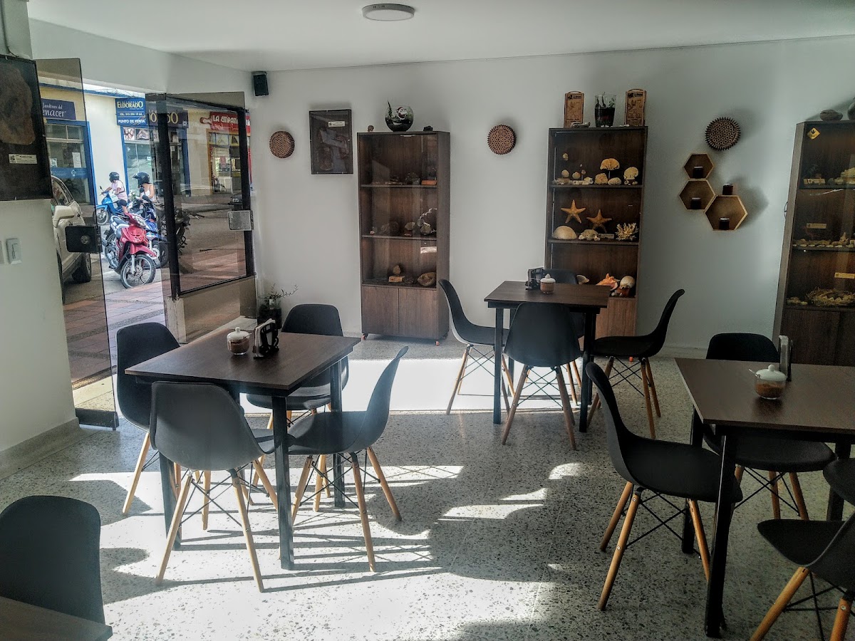 La Roca Cafe Museo