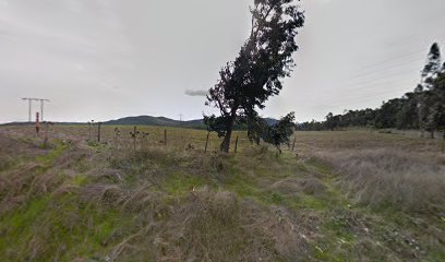 La casa verde