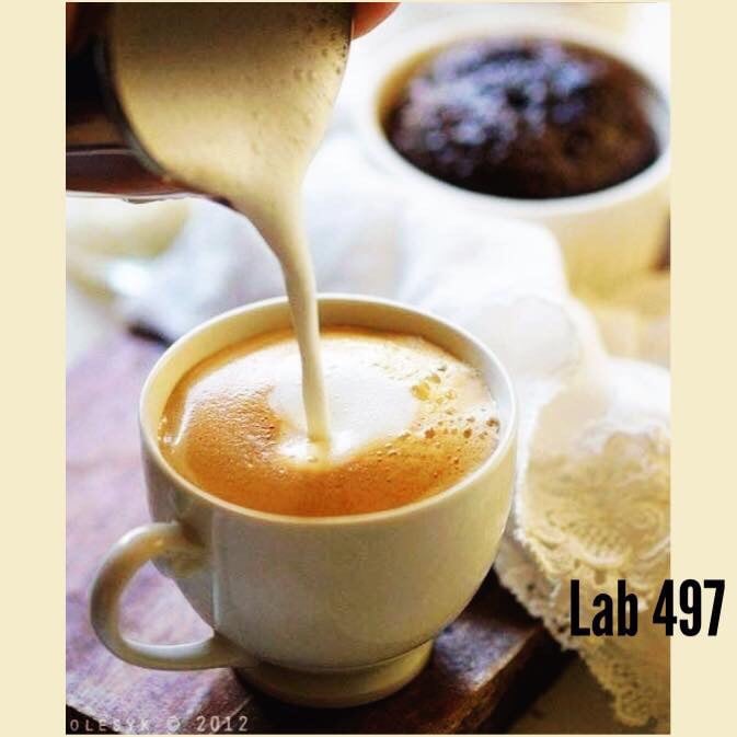 Lab 497