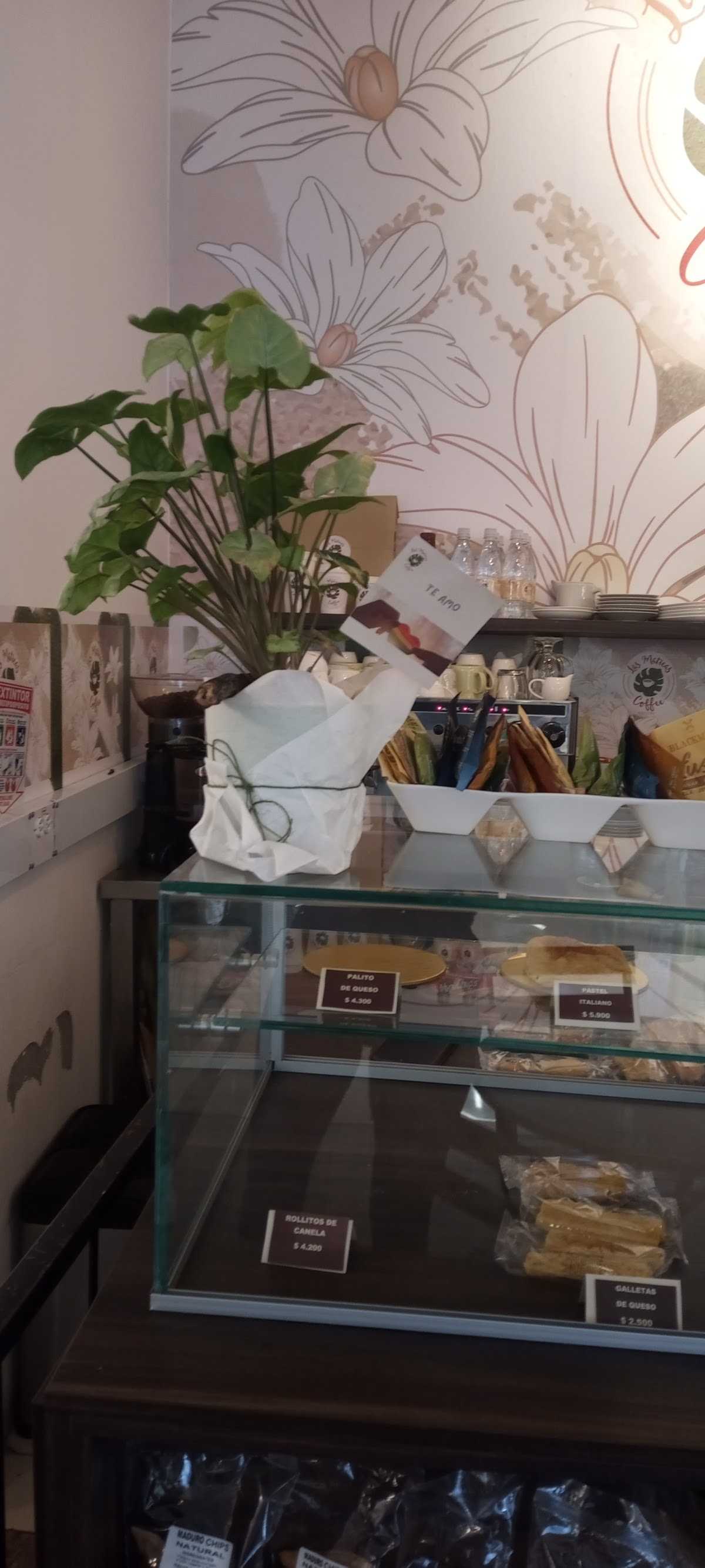 Las Maticas Coffee en el barrio más cool de Medellín